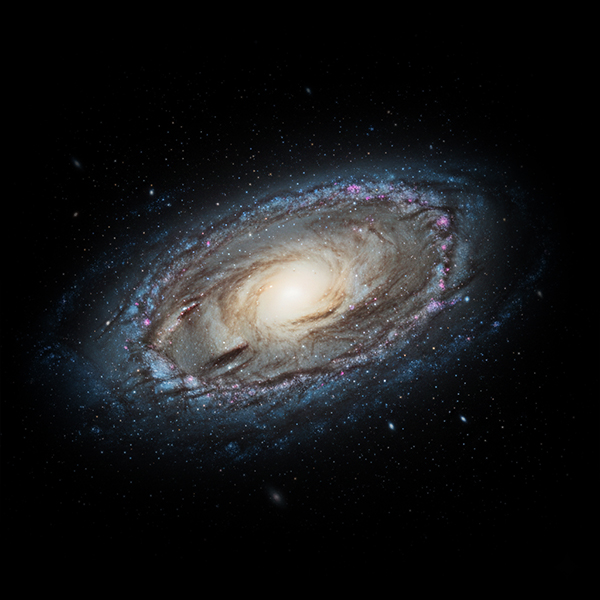Andromeda Freedom Code